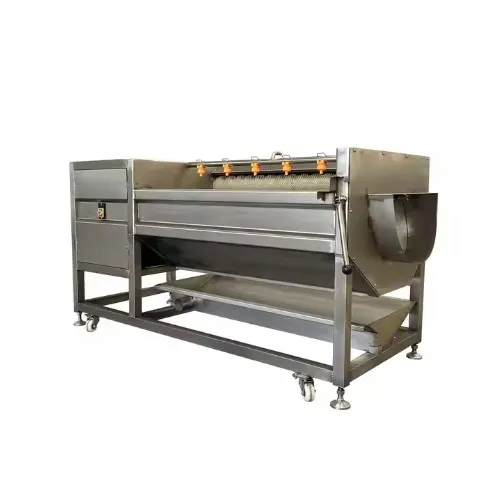 Αυτόματο πλυντήριο βούρτσας